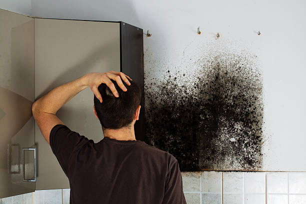 Best Mold Removal Specialists  in Randleman, NC